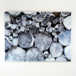 Logs
