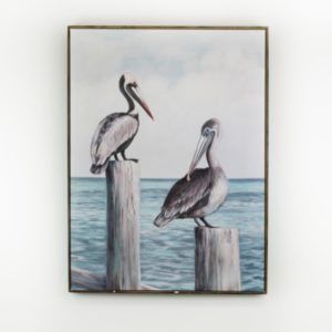 Pelicans