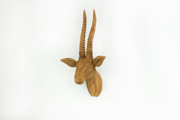 WART-20