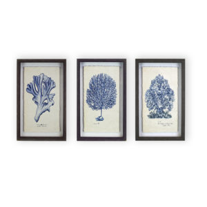 Art Set 77